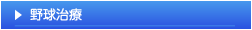 野球治療